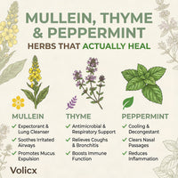 Volicx Lung Cleanse Inhaler